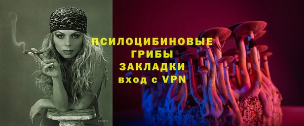 соль ск Алексин