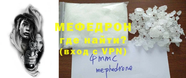 индика Гусев