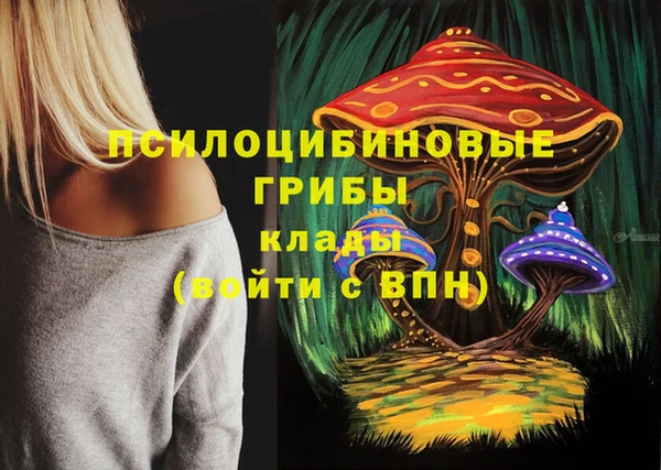 таблы Алексеевка